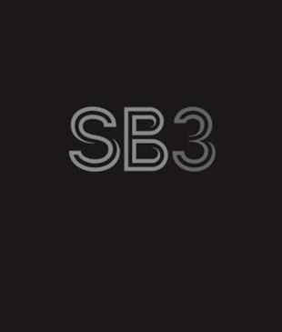 SB3 Artist Management